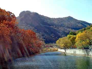 新澳天天开奖资料大全旅游团，画家安旭